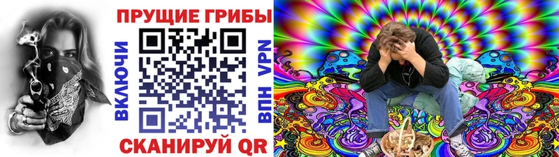 купить сайты гидра как войти Галлюциногенные грибы Psilocybe Фёдоровский